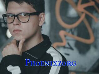 Phoenixzorg