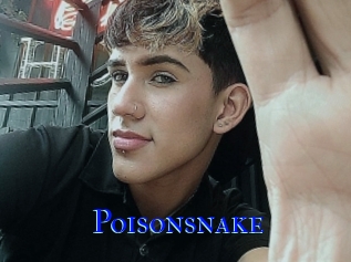 Poisonsnake