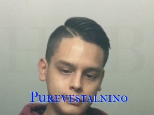 Purevestalnino