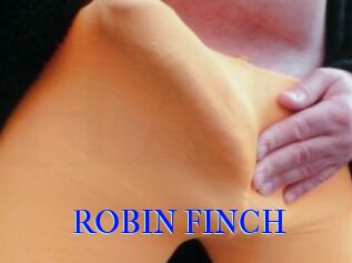 ROBIN_FINCH