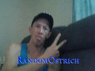 RandomOstrich