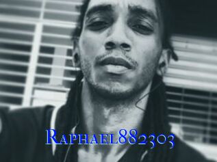 Raphael882303