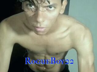 RogueBoy22