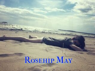 Rosehip_May