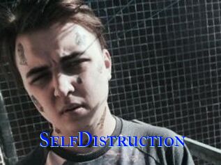 SelfDistruction