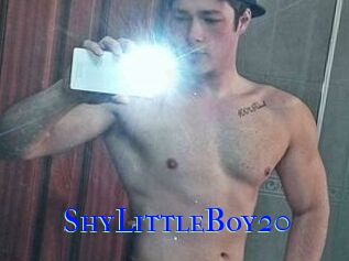 ShyLittleBoy20