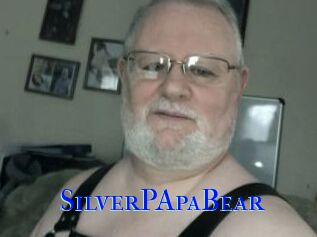 SilverPApaBear