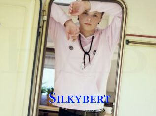 Silkybert