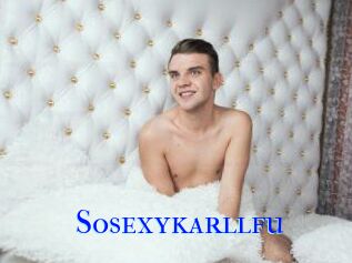 Sosexykarllfu