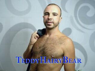 TeddyHairyBear