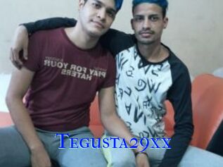 Tegusta29xx