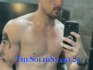 TheSolidSnake23