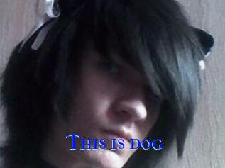 This_is_dog