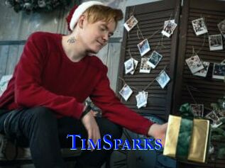 TimSparks