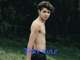 Tony_wolf