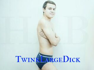 TwinkLargeDick