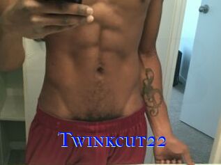 Twinkcut22