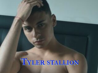 Tyler_stallion