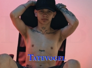 Tatevogel