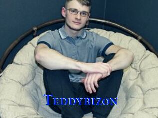 Teddybizon