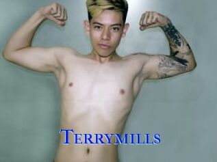 Terrymills