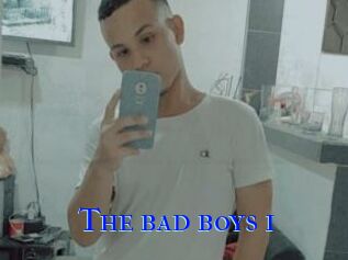 The_bad_boys_1