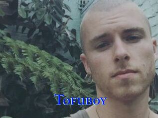 Tofu_boy