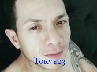 Torvy23