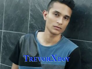 TrevorXboy