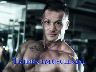 Tridentmuscles4u