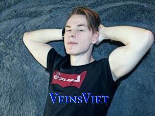 VeinsViet