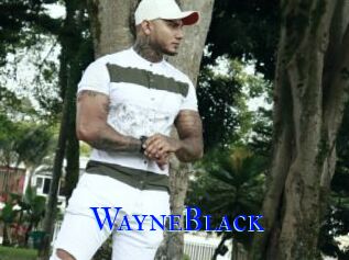 WayneBlack