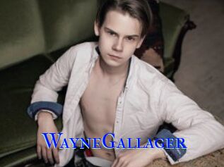 WayneGallager