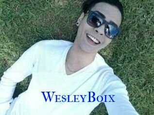 Wesley_Boix