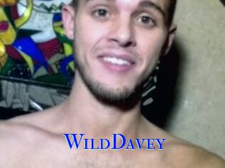 WildDavey