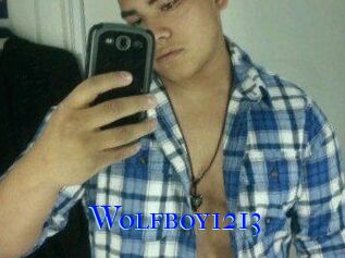 Wolfboy1213