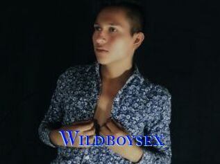 Wildboysex