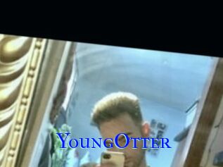 YoungOtter