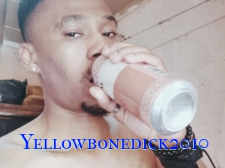 Yellowbonedick2010