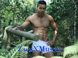 ZackXMuscle