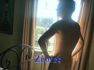 Zboy23