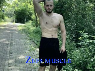 Zefs_muscle