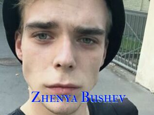 Zhenya_Bushev