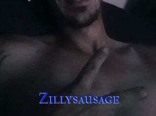 Zillysausage