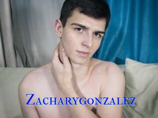 Zacharygonzalez