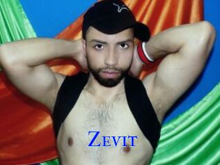 Zevit